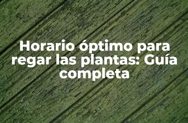 Horario Óptimo para Regar las Plantas: Guía Completa