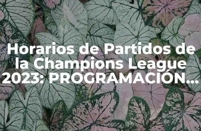Horarios de Partidos de la Champions League 2023: Programación y Resultados