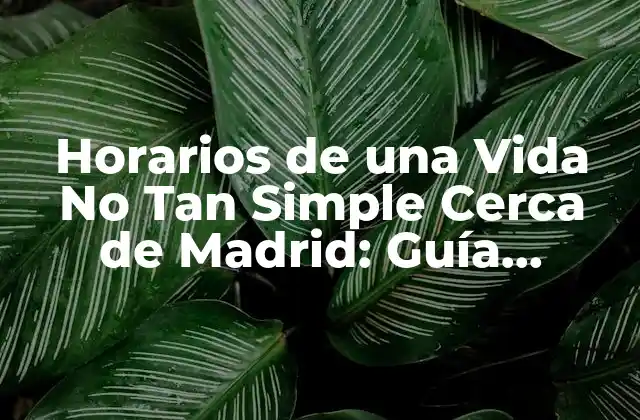 Horarios de una Vida No Tan Simple Cerca de Madrid: Guía Completa