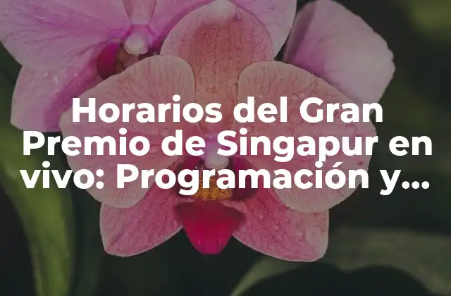 Horarios Del Gran Premio de Singapur en Vivo: Programación y Fechas 2023