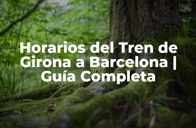 Horarios Del Tren de Girona a Barcelona | Guía Completa