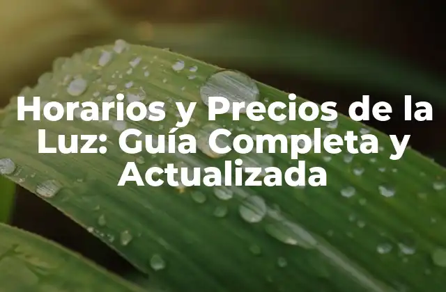 ¿Cómo se calculan los precios de la luz?