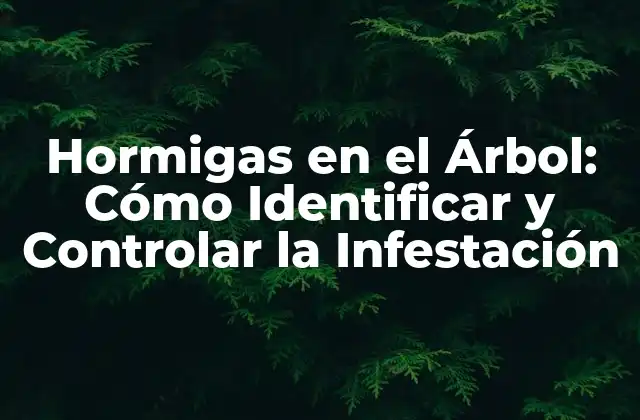 Hormigas en el Árbol: Cómo Identificar y Controlar la Infestación