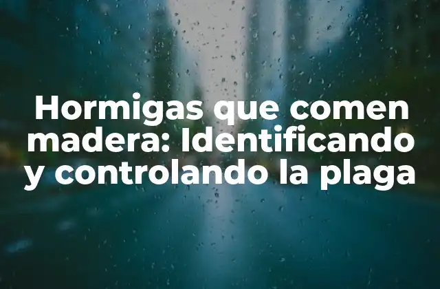 Hormigas que Comen Madera: Identificando y Controlando la Plaga