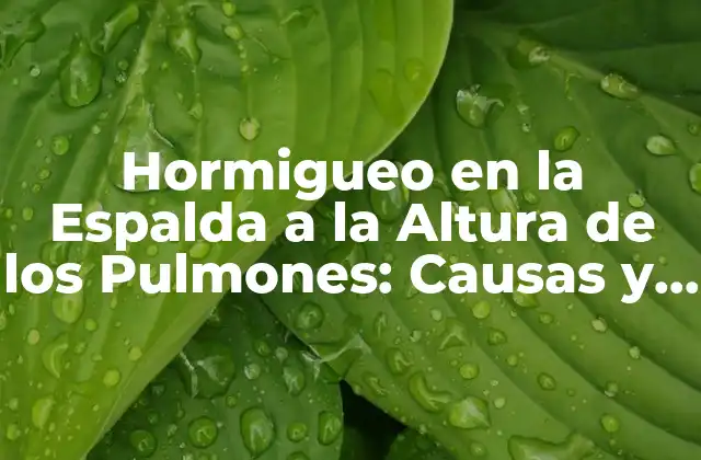 Hormigueo en la Espalda a la Altura de los Pulmones: Causas y Tratamientos