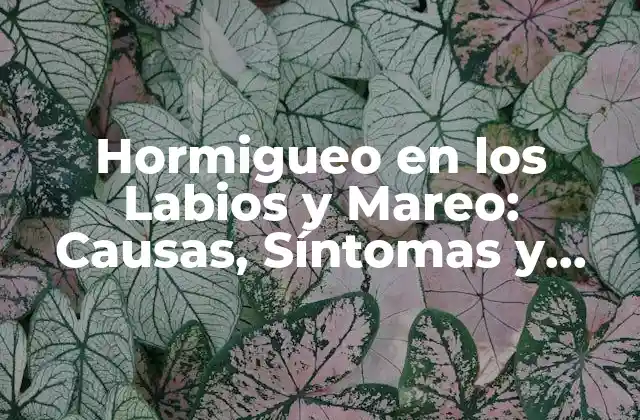 Hormigueo en los Labios y Mareo: Causas, Síntomas y Tratamiento