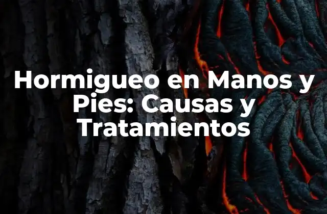 Hormigueo en Manos y Pies: Causas y Tratamientos