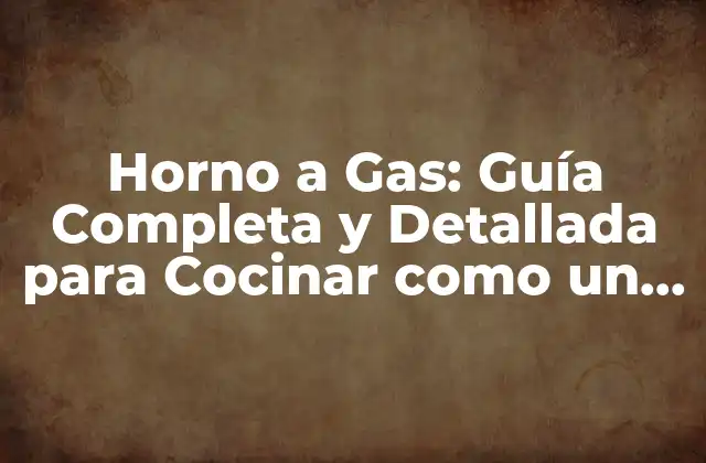 Horno a Gas: Guía Completa y Detallada para Cocinar como un Profesional