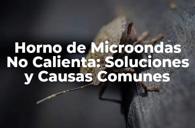 Horno de Microondas No Calienta: Soluciones y Causas Comunes 2 Causas Comunes del Problema de Calentamiento del Horno de Microondas