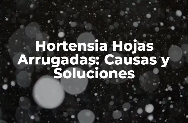 Hortensia Hojas Arrugadas: Causas y Soluciones