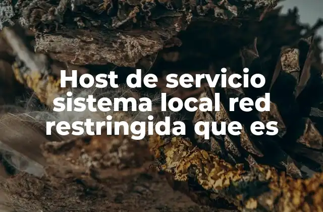 Host de Servicio Sistema Local Red Restringida que es