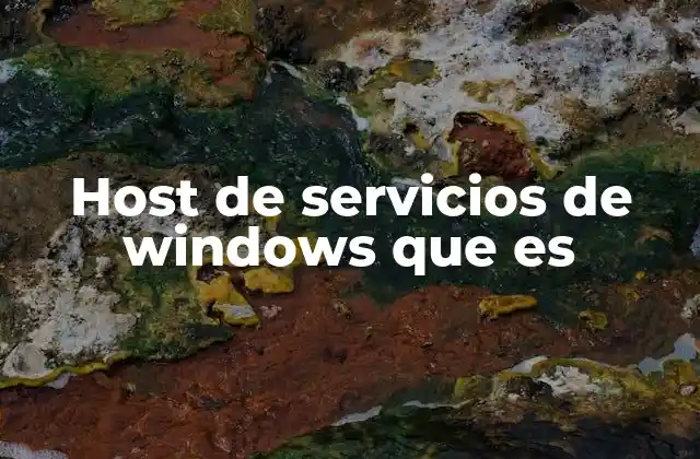 Host de Servicios de Windows que es