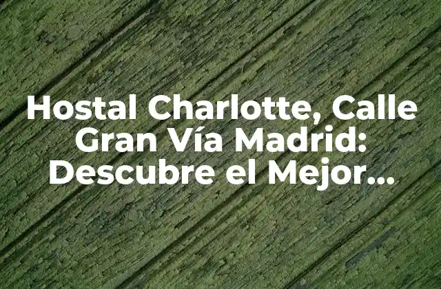 Hostal Charlotte, Calle Gran Vía Madrid: Descubre el Mejor Alojamiento en el Corazón de la Ciudad