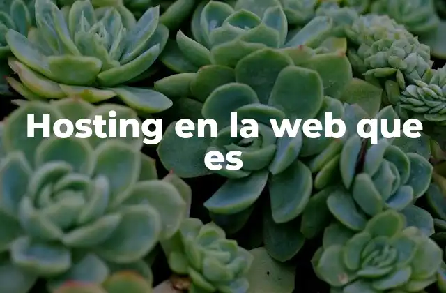 Hosting en la Web que es