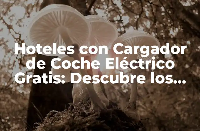Hoteles con Cargador de Coche Eléctrico Gratis: Descubre los Mejores Destinos para Conductores Ecológicos