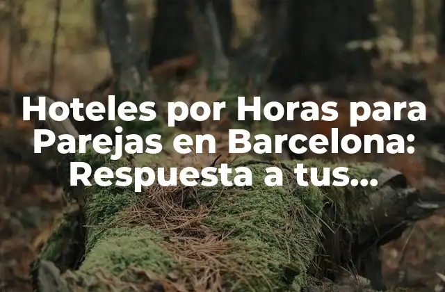 Hoteles por Horas para Parejas en Barcelona: Respuesta a Tus Necesidades de Intimidad