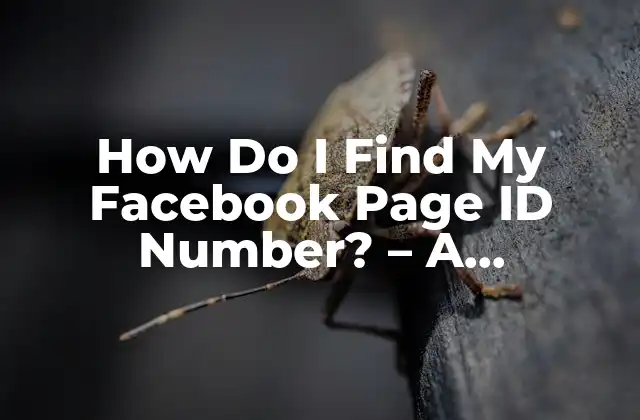 How Do I Find My Facebook Page Id Number? – a Step-by-step Guide