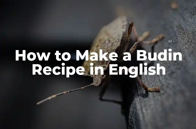 How To Make a Budin Recipe In English