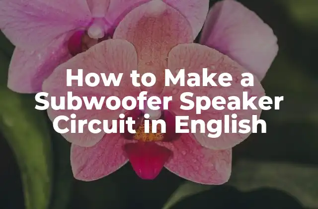 How To Make a Subwoofer Speaker Circuit In English