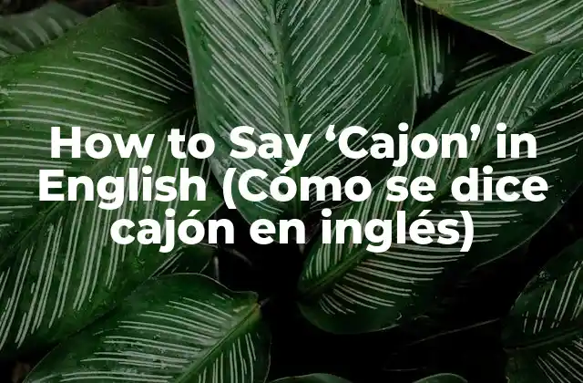 How To Say ‘cajon’ In English (cómo Se Dice Cajón en Inglés)