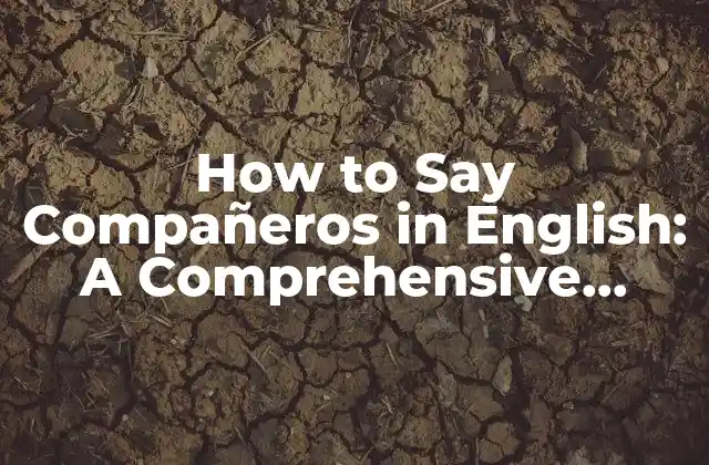 How To Say Compañeros In English: a Comprehensive Guide