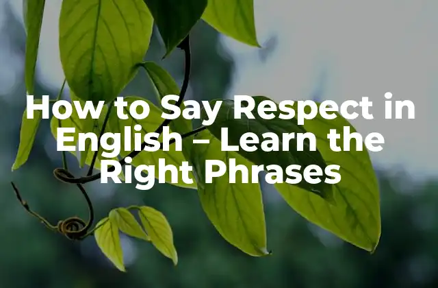 How To Say Respect In English – Learn The Right Phrases