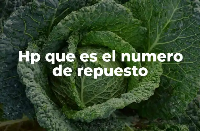 Hp que es el Numero de Repuesto