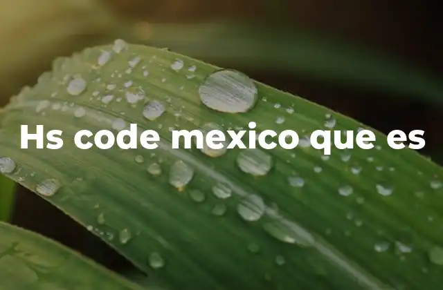 Hs Code Mexico que es