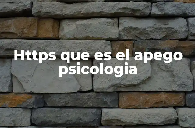 Https que es el Apego Psicologia