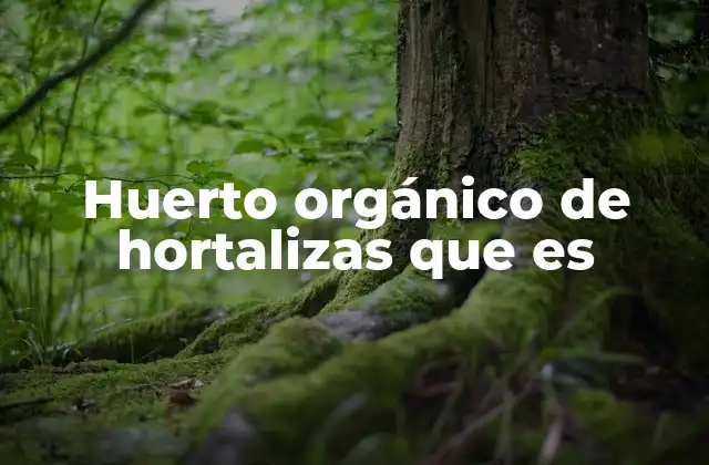 Huerto Orgánico de Hortalizas que es