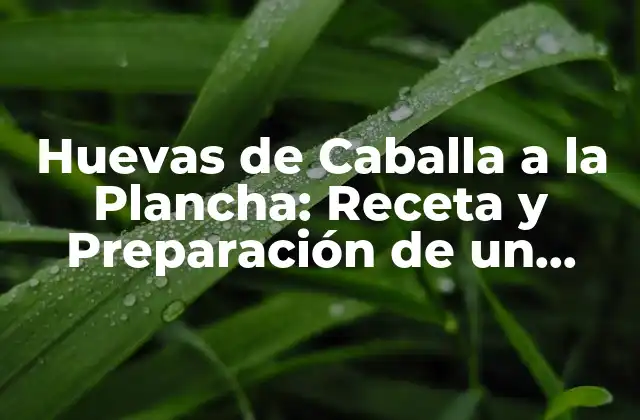 Huevas de Caballa a la Plancha: Receta y Preparación de un Delicado Manjar