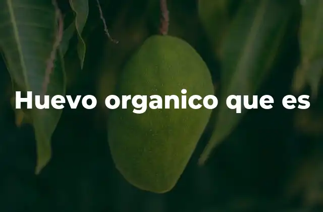 Huevo Organico que es
