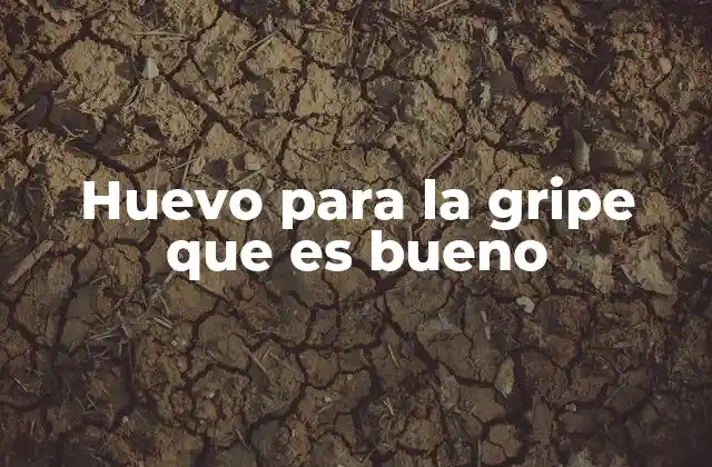 Huevo para la Gripe que es Bueno