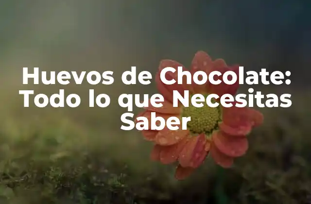 Huevos de Chocolate: Todo Lo que Necesitas Saber