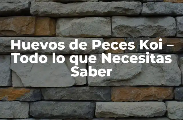 Huevos de Peces Koi – Todo Lo que Necesitas Saber