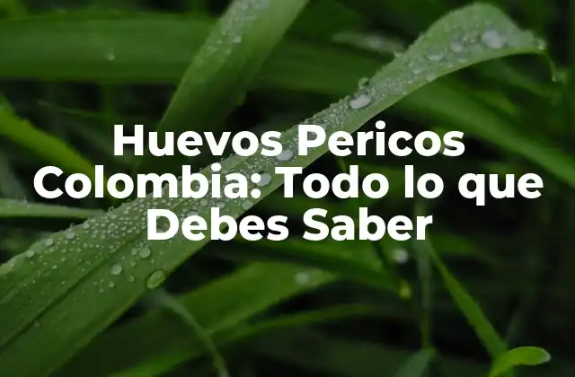 Huevos Pericos Colombia: Todo Lo que Debes Saber