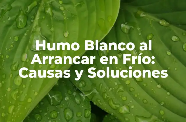 Humo Blanco Al Arrancar en Frío: Causas y Soluciones