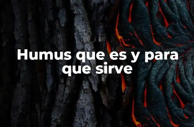 Humus que es y para que Sirve 2 El papel del humus en la salud del suelo