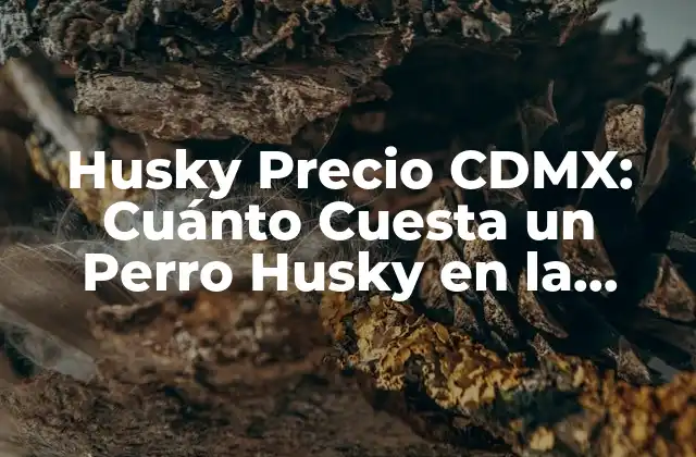 Husky Precio Cdmx: Cuánto Cuesta un Perro Husky en la Ciudad de México