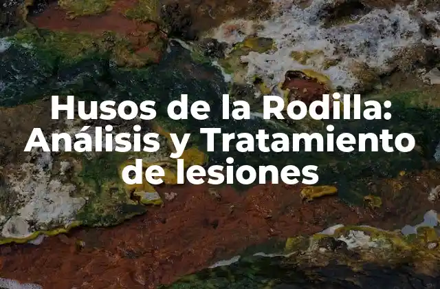 Husos de la Rodilla: Análisis y Tratamiento de Lesiones
