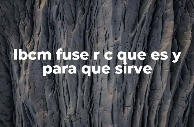 Ibcm Fuse R C que es y para que Sirve