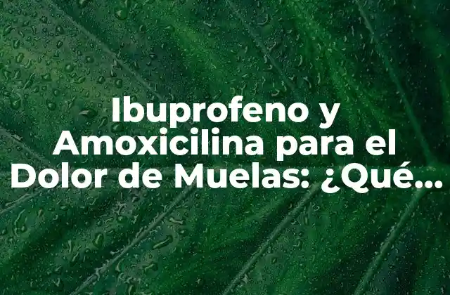 Ibuprofeno y Amoxicilina para el Dolor de Muelas: ¿qué es Lo Mejor para Aliviar el Dolor?