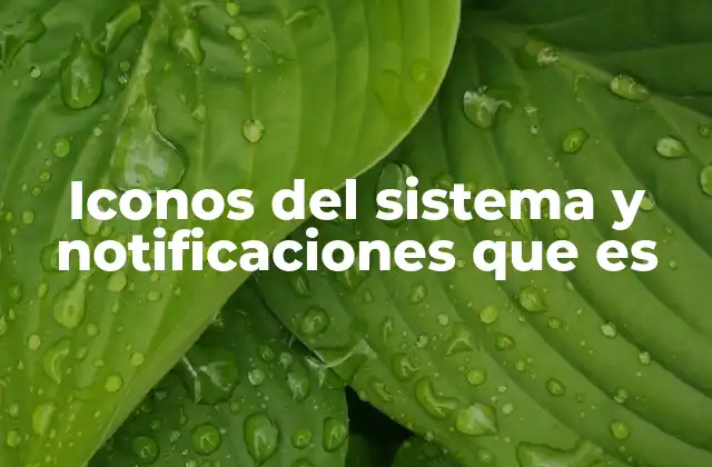 Iconos Del Sistema y Notificaciones que es