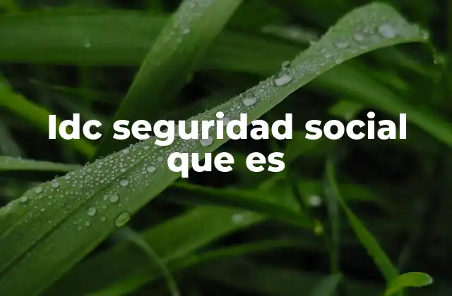 Idc Seguridad Social que es