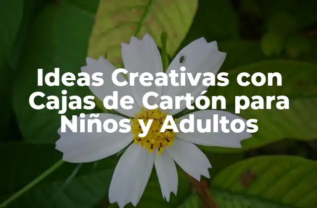 Ideas Creativas con Cajas de Cartón para Niños y Adultos
