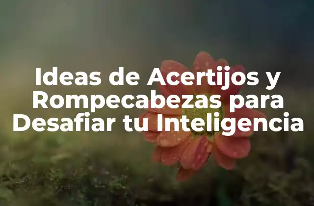 Ideas de Acertijos y Rompecabezas para Desafiar Tu Inteligencia