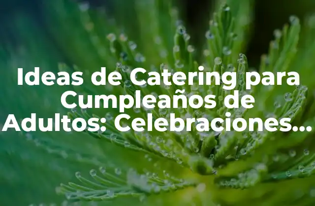 Ideas de Catering para Cumpleaños de Adultos: Celebraciones Inolvidables