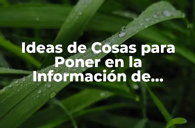 Ideas de Cosas para Poner en la Información de Instagram