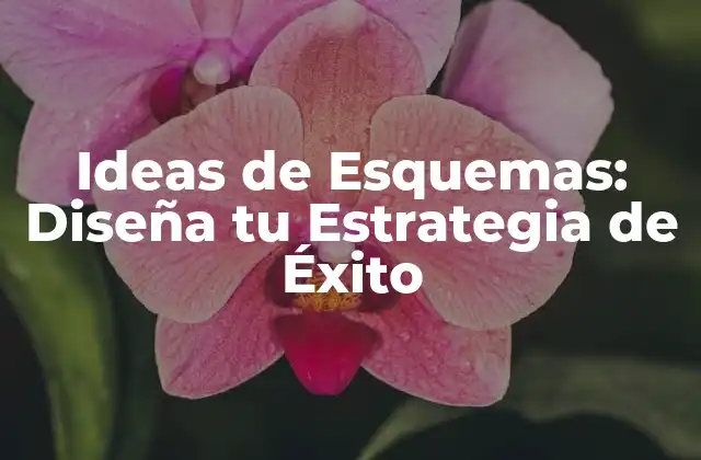 Ideas de Esquemas: Diseña Tu Estrategia de Éxito