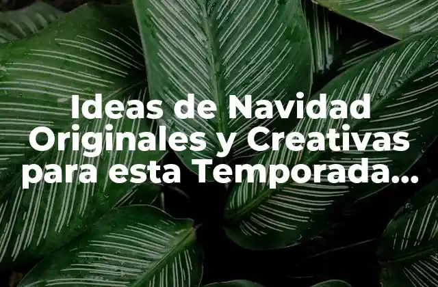 Ideas de Decoración de Navidad Únicas y Originales